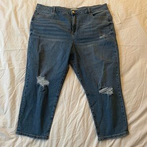 NWT Eloquii Sz 20 Jeans